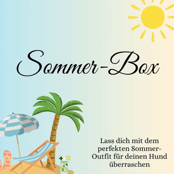 Sommer-Box