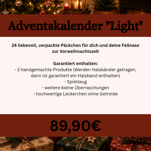 Adventskalender "Light" 2026