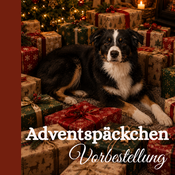 Adventspäckchen 2026