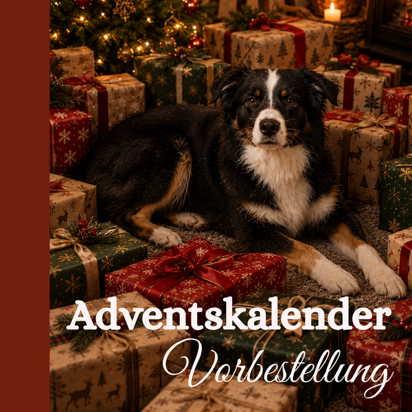 Adventskalender 2026