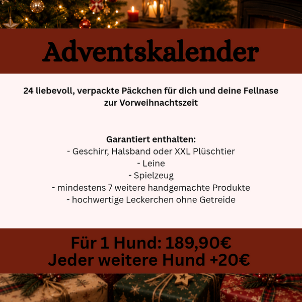 Adventskalender 2026