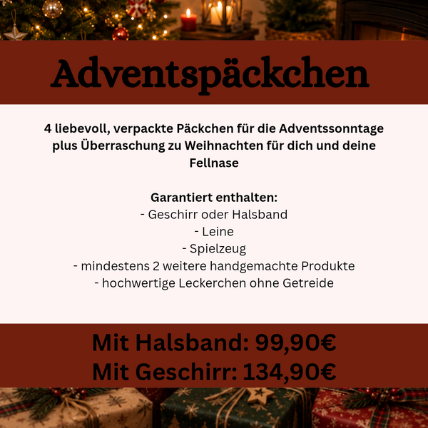 Adventspäckchen 2026